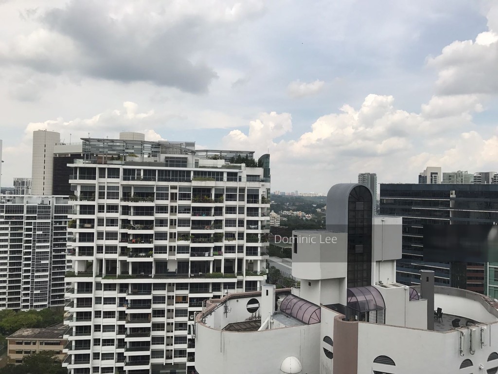 The Peak @ Cairnhill II (D9), Apartment #141348572